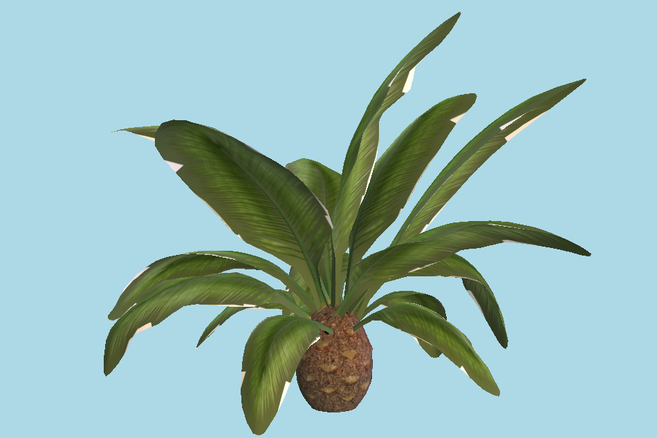 Palm Plant 3d model